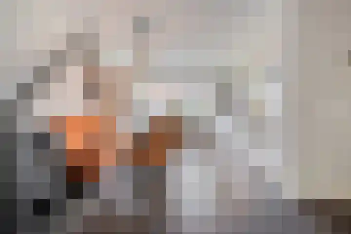 Groen van Prinstererlaan 30 Zwolle thumbnail 10
