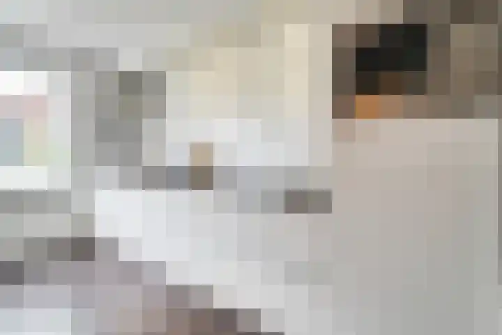 Groen van Prinstererlaan 30 Zwolle thumbnail 12