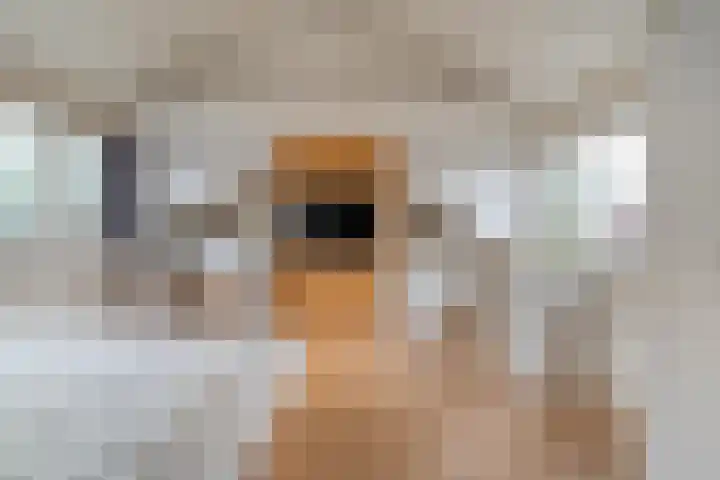 Groen van Prinstererlaan 30 Zwolle thumbnail 24