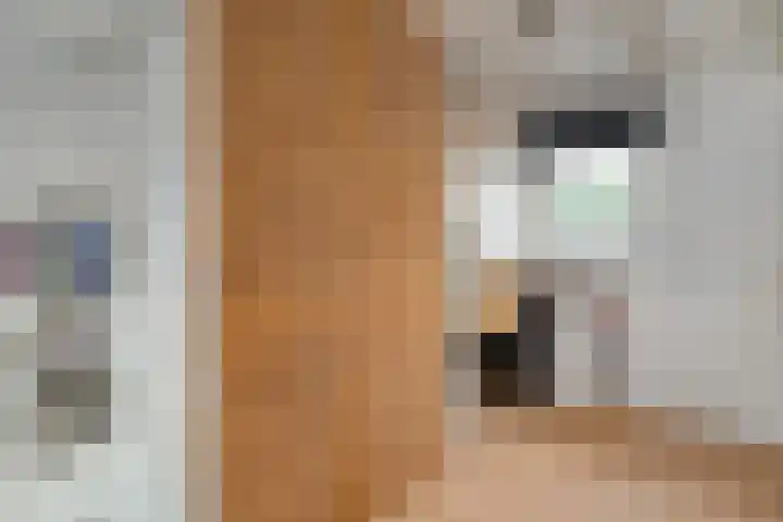 Groen van Prinstererlaan 30 Zwolle thumbnail 26