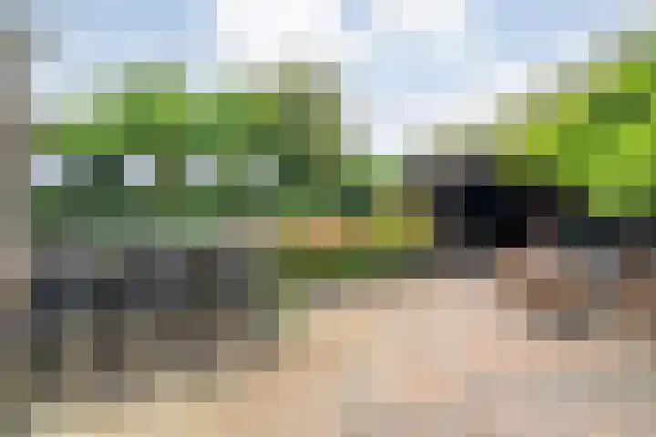 Groen van Prinstererlaan 30 Zwolle thumbnail 28