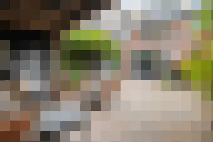 Groen van Prinstererlaan 30 Zwolle thumbnail 29