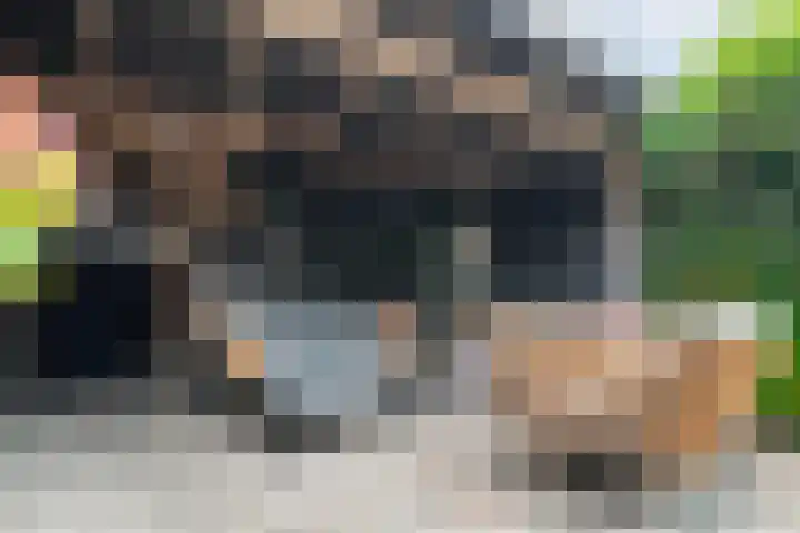 Groen van Prinstererlaan 30 Zwolle thumbnail 30