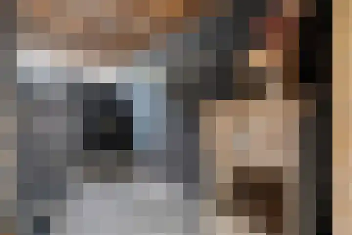 Groen van Prinstererlaan 30 Zwolle thumbnail 31