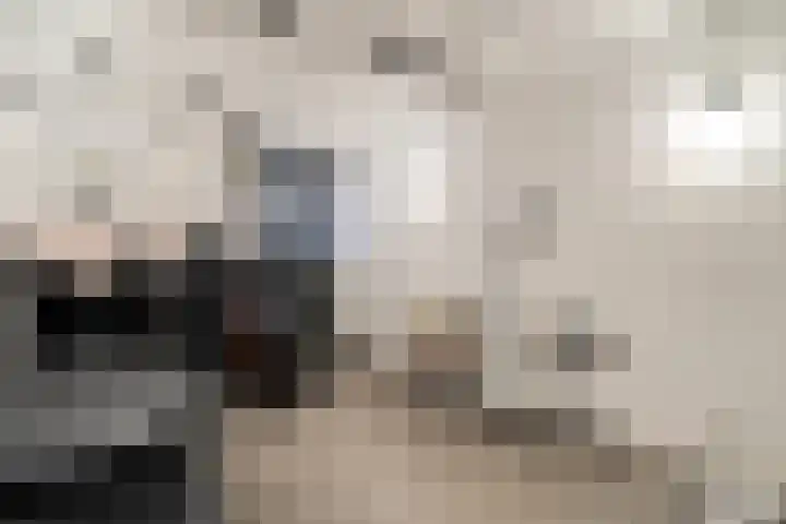 Groen van Prinstererlaan 30 Zwolle thumbnail 34