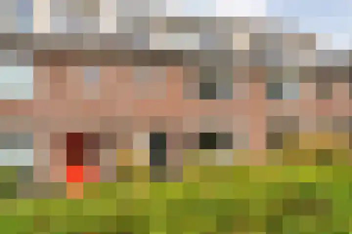 Groen van Prinstererlaan 30 Zwolle thumbnail 35