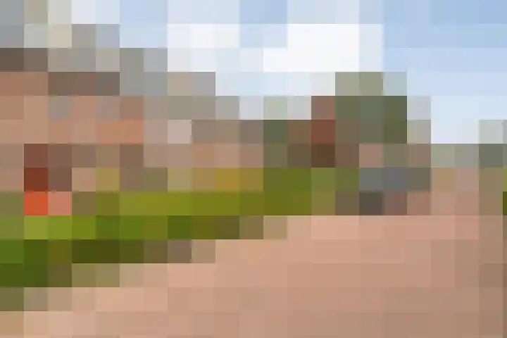 Groen van Prinstererlaan 30 Zwolle thumbnail 36