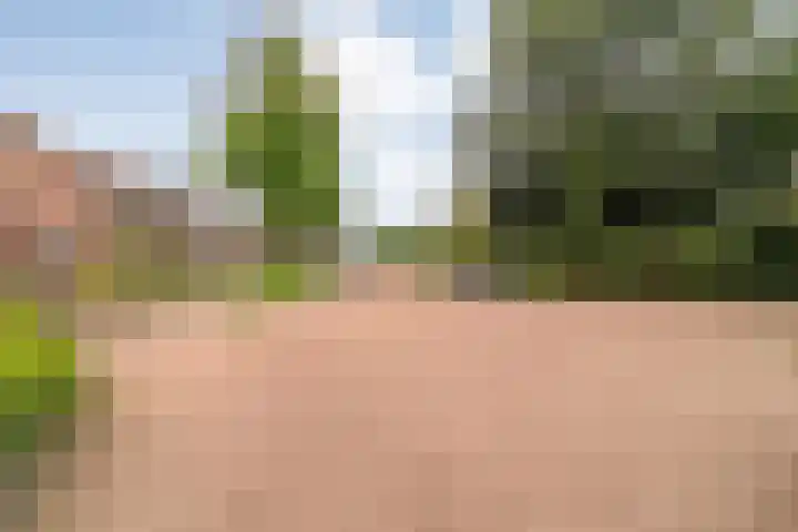 Groen van Prinstererlaan 30 Zwolle thumbnail 37