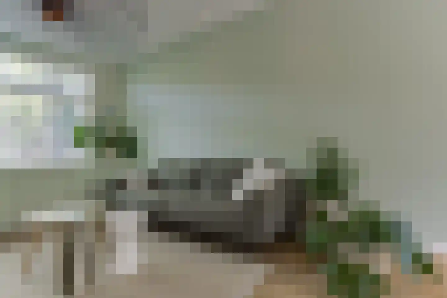 Groen van Prinstererlaan 31 Voorburg thumbnail 14