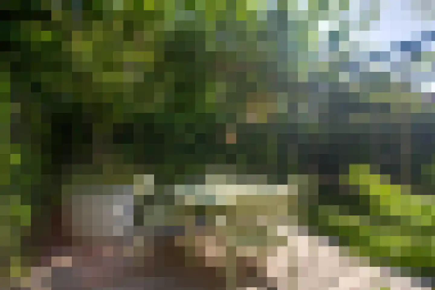 Groen van Prinstererlaan 31 Voorburg thumbnail 28