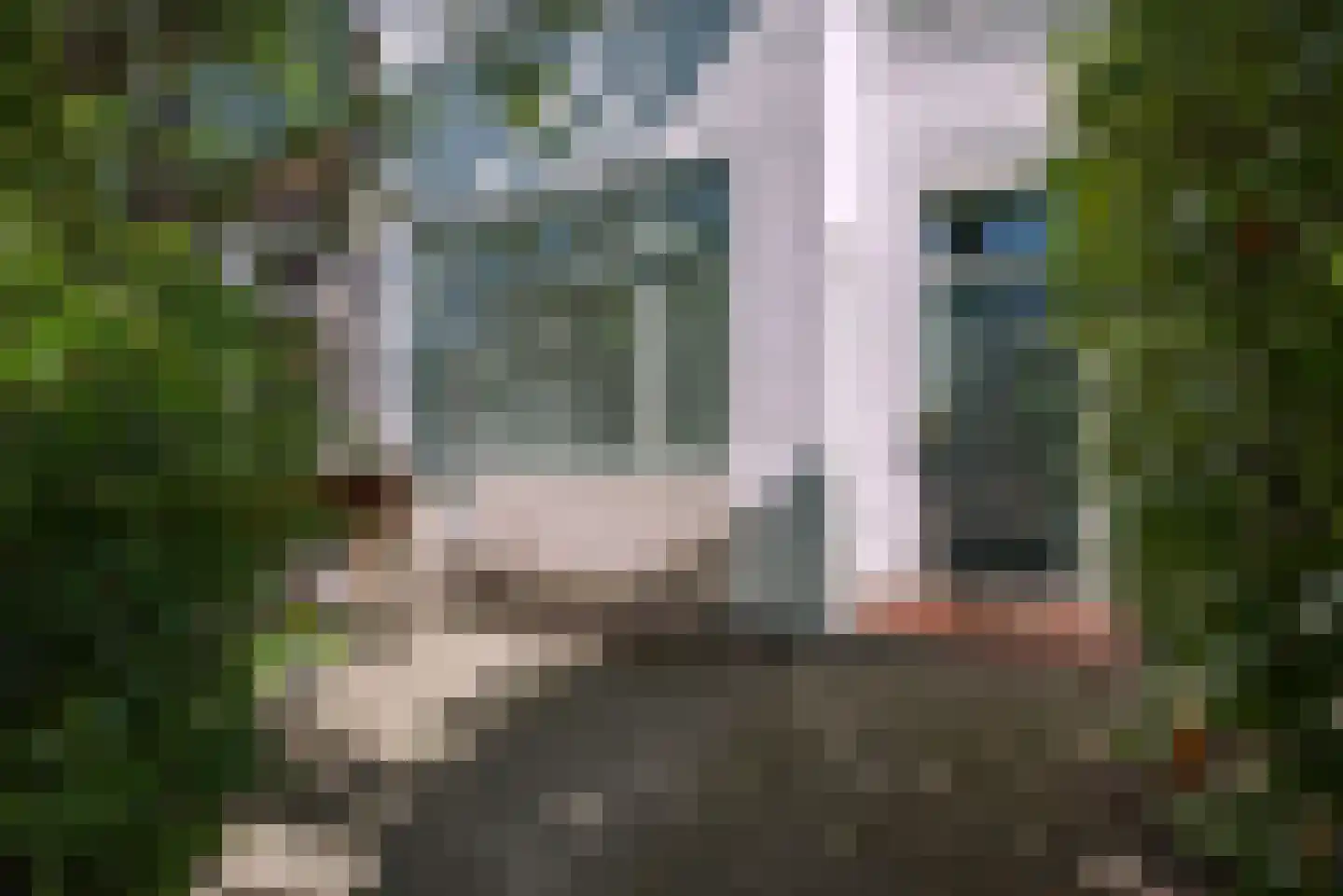 Groen van Prinstererlaan 31 Voorburg thumbnail 4