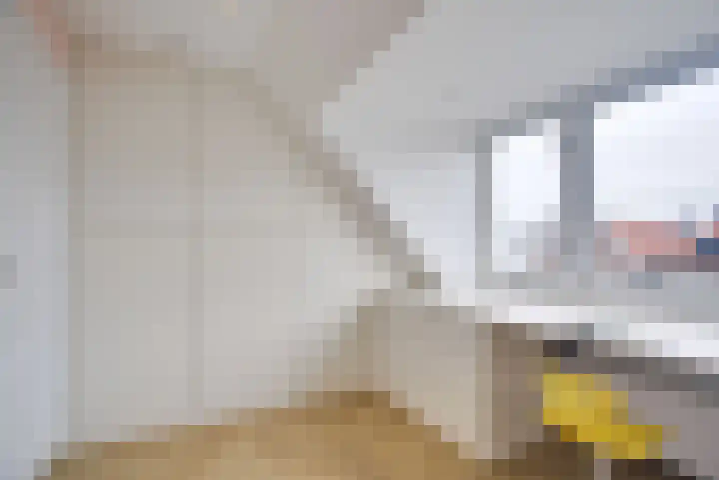 Groen van Prinstererlaan 31 Voorburg thumbnail 49
