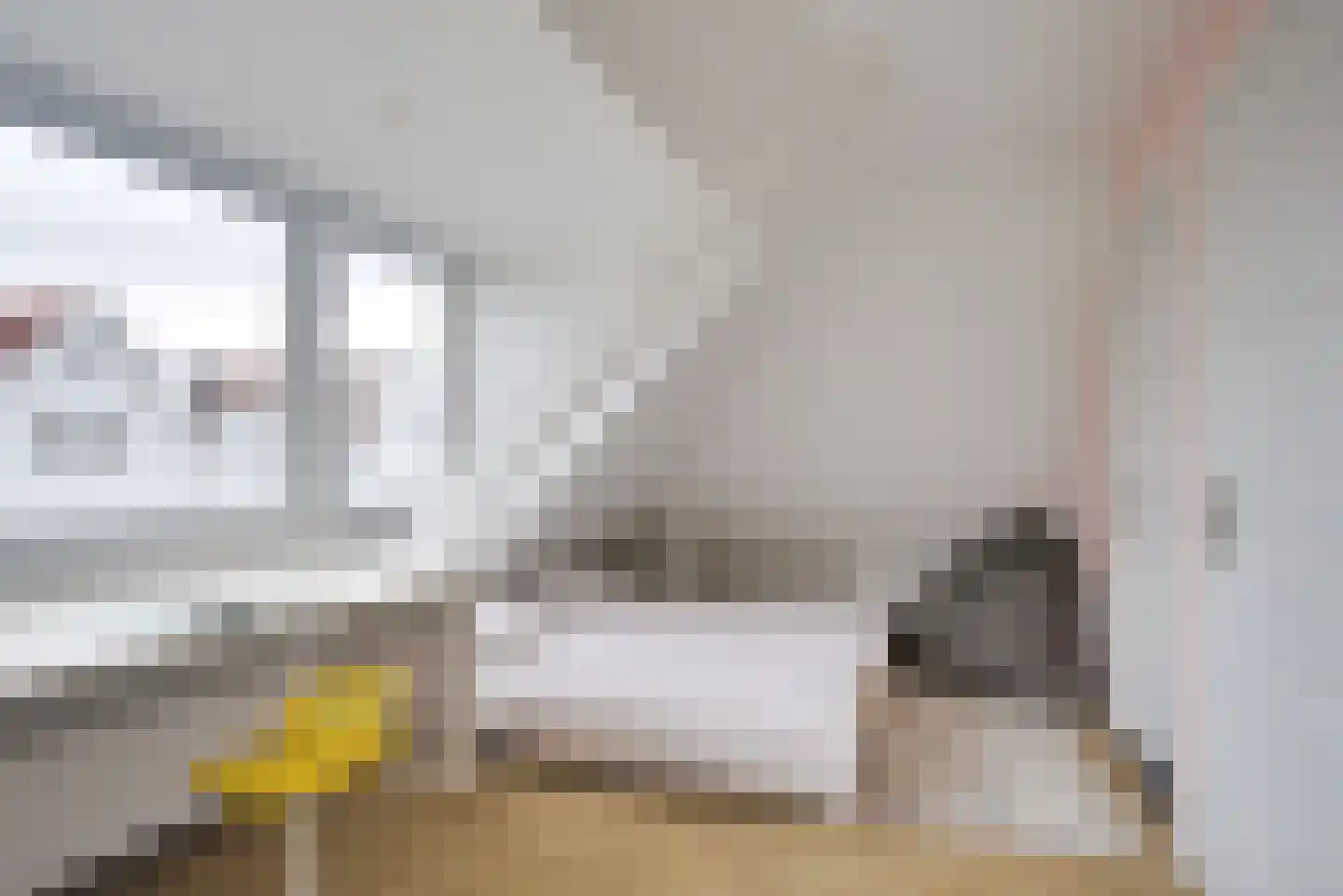 Groen van Prinstererlaan 31 Voorburg thumbnail 51