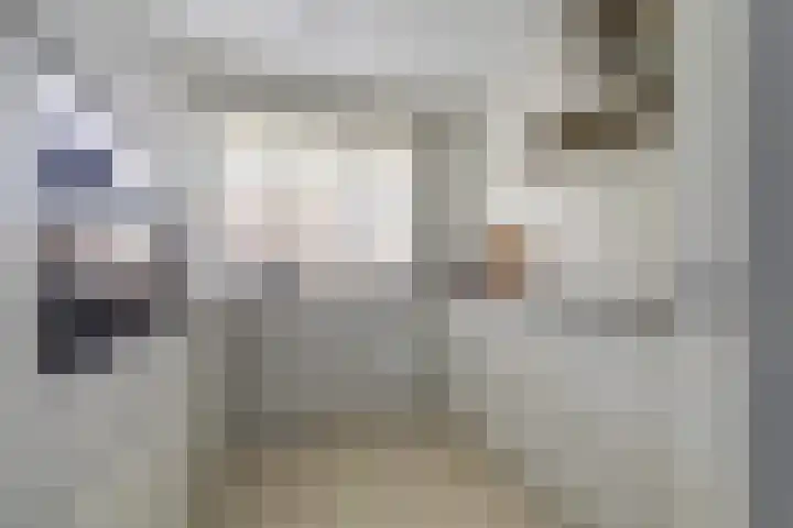 Groen van Prinstererlaan 32 Vlijmen thumbnail 11