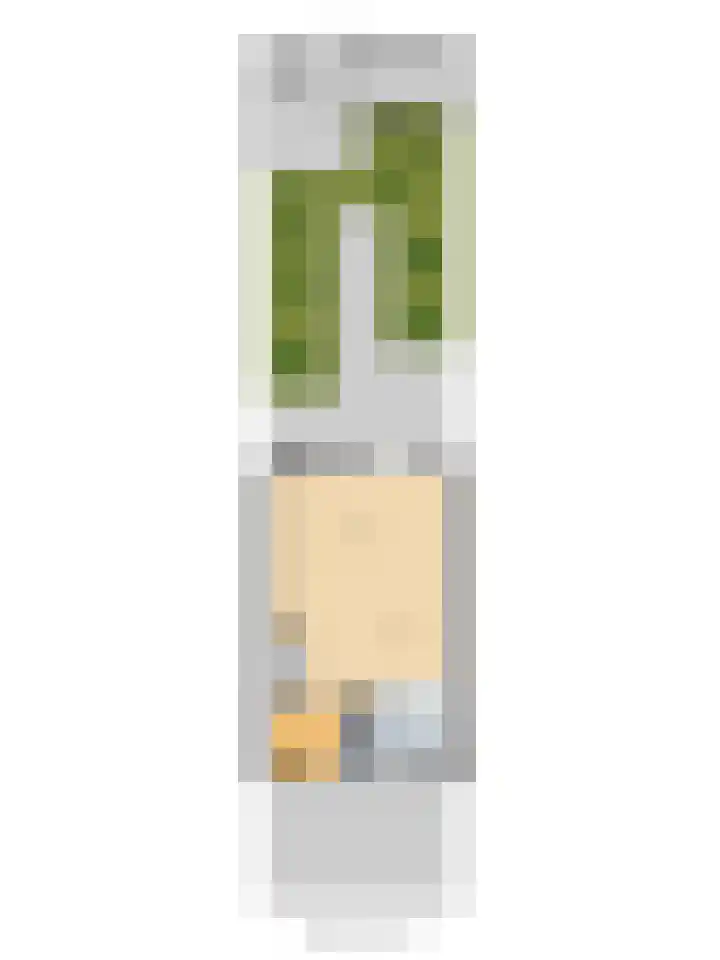 Groen van Prinstererlaan 32 Vlijmen thumbnail 39