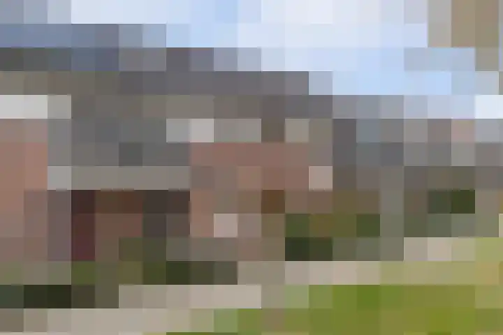 Groen van Prinstererlaan 32 Vlijmen thumbnail 42