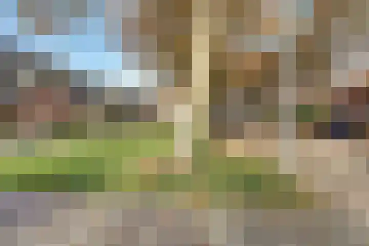 Groen van Prinstererlaan 32 Vlijmen thumbnail 44