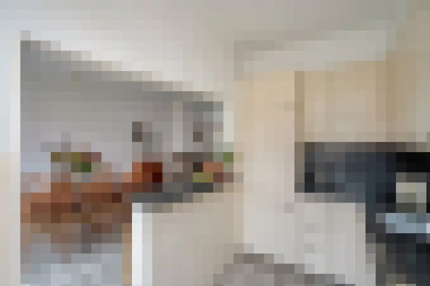 Groen van Prinstererlaan 35 Voorburg thumbnail 14