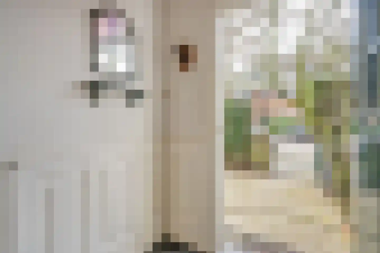 Groen van Prinstererlaan 35 Voorburg thumbnail 7