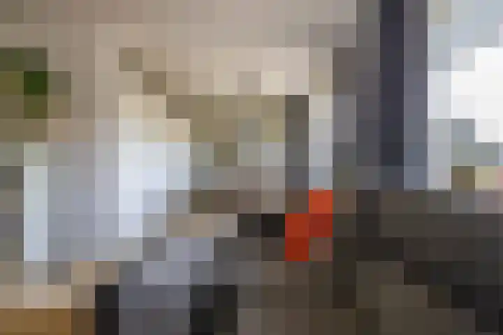 Groen van Prinstererlaan 36 Groningen thumbnail 13