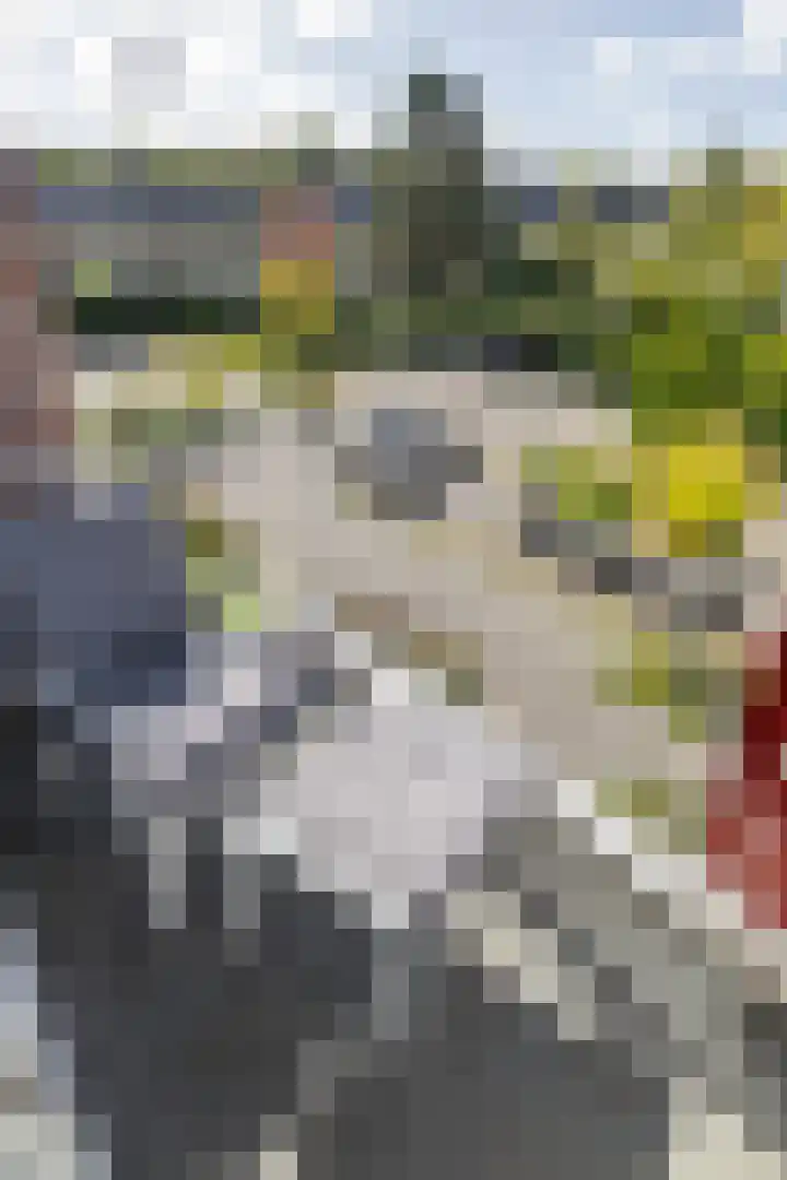 Groen van Prinstererlaan 36 Groningen thumbnail 17