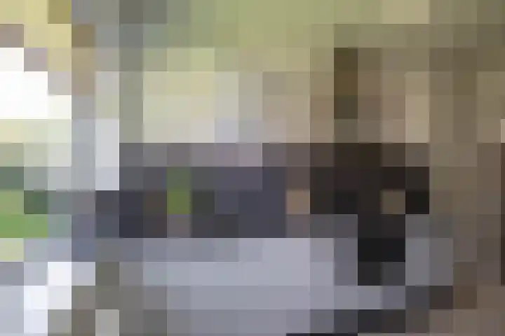 Groen van Prinstererlaan 36 Groningen thumbnail 19