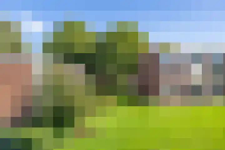 Groen van Prinstererlaan 36 Groningen thumbnail 37