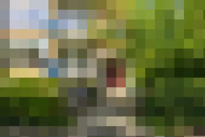 Groen van Prinstererlaan 39 Groningen thumbnail 10