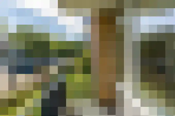 Groen van Prinstererlaan 39 Groningen thumbnail 21