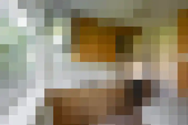 Groen van Prinstererlaan 39 Groningen thumbnail 34