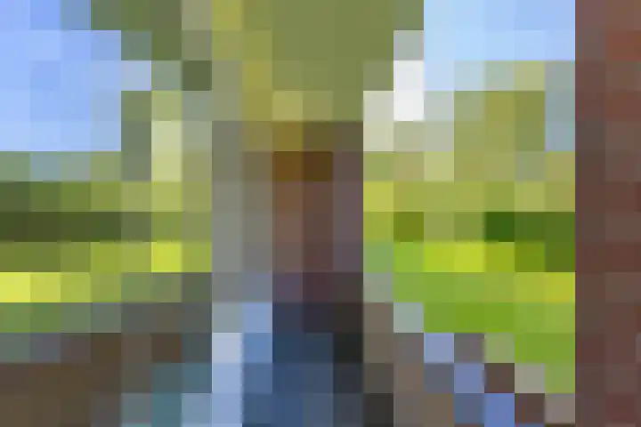 Groen van Prinstererlaan 39 Groningen thumbnail 35