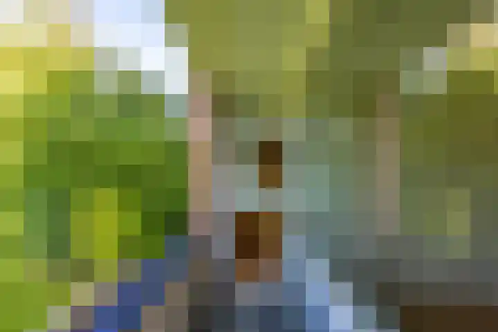 Groen van Prinstererlaan 39 Groningen thumbnail 36