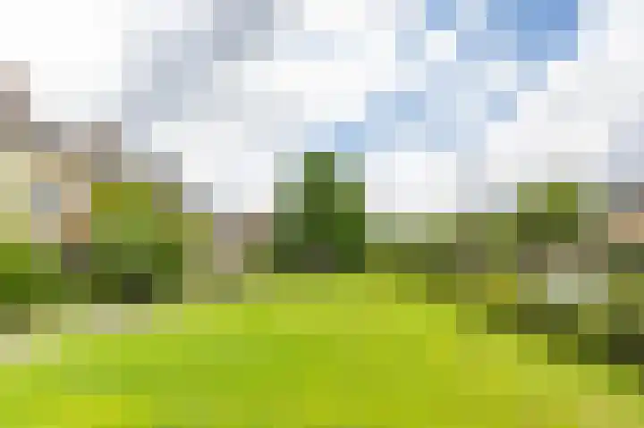 Groen van Prinstererlaan 39 Groningen thumbnail 5