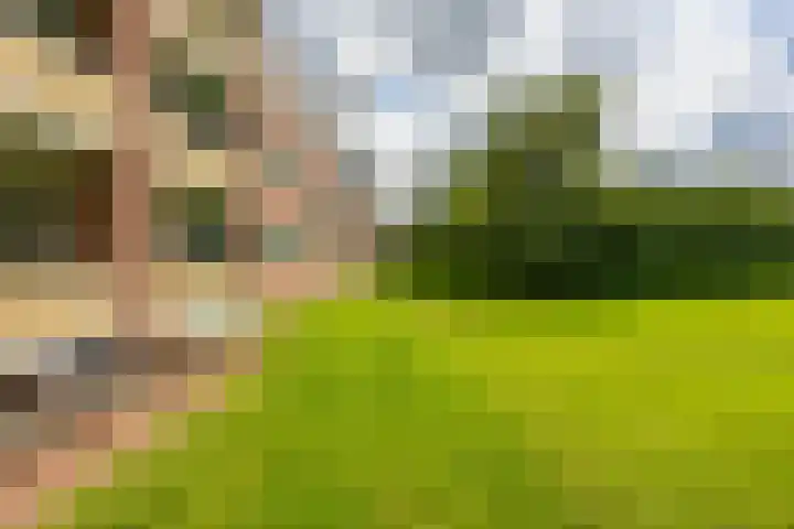Groen van Prinstererlaan 39 Groningen thumbnail 8