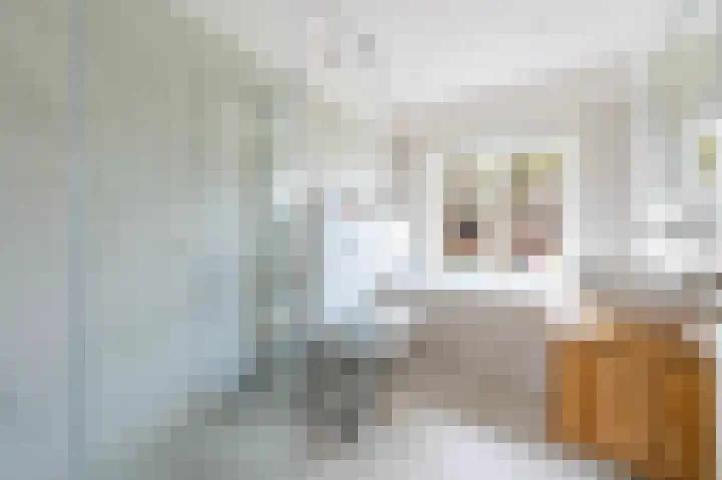 Groen van Prinstererlaan 39 Voorburg thumbnail 15