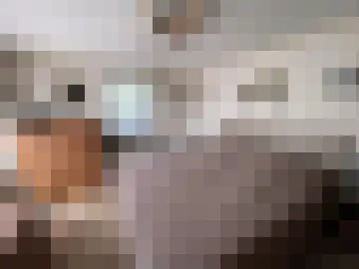 Groen van Prinstererlaan 4 Doetinchem thumbnail 21