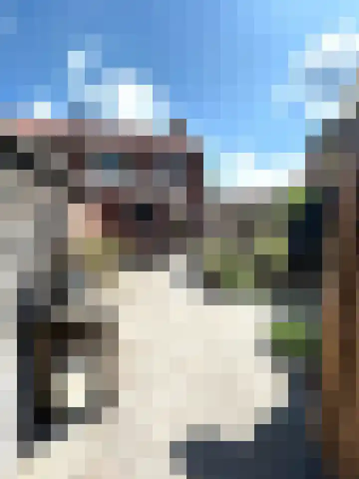 Groen van Prinstererlaan 4 Doetinchem thumbnail 34