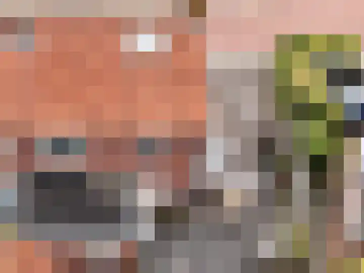 Groen van Prinstererlaan 4 Doetinchem thumbnail 37