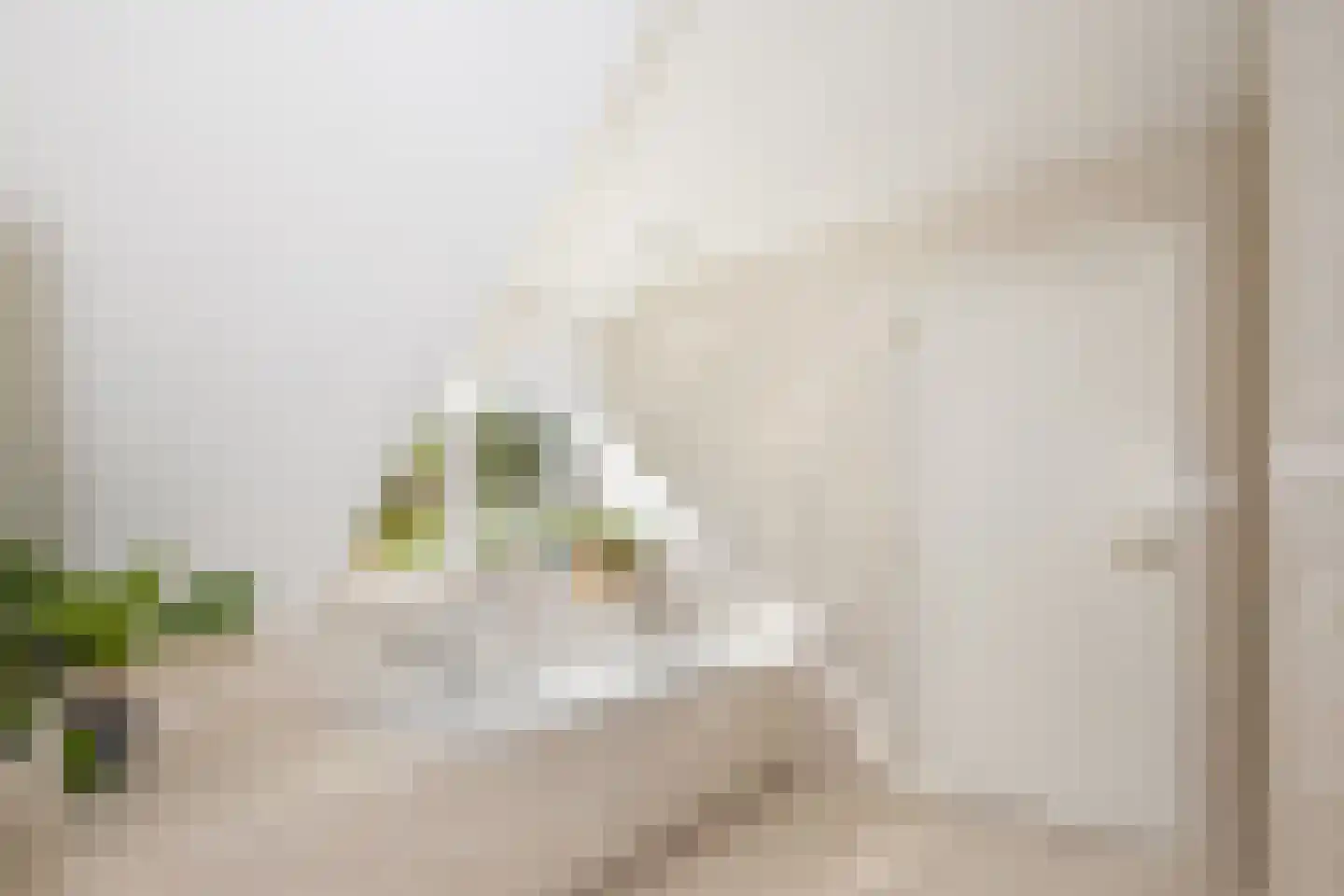 Groen van Prinstererlaan 4 Wassenaar thumbnail 25