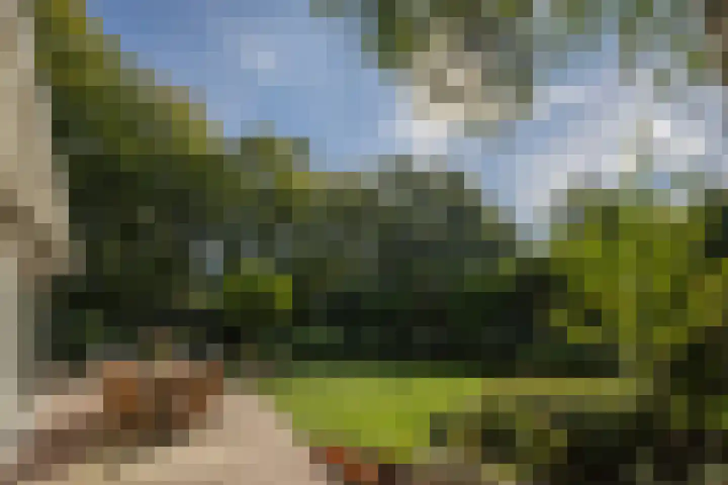 Groen van Prinstererlaan 4 Wassenaar thumbnail 4