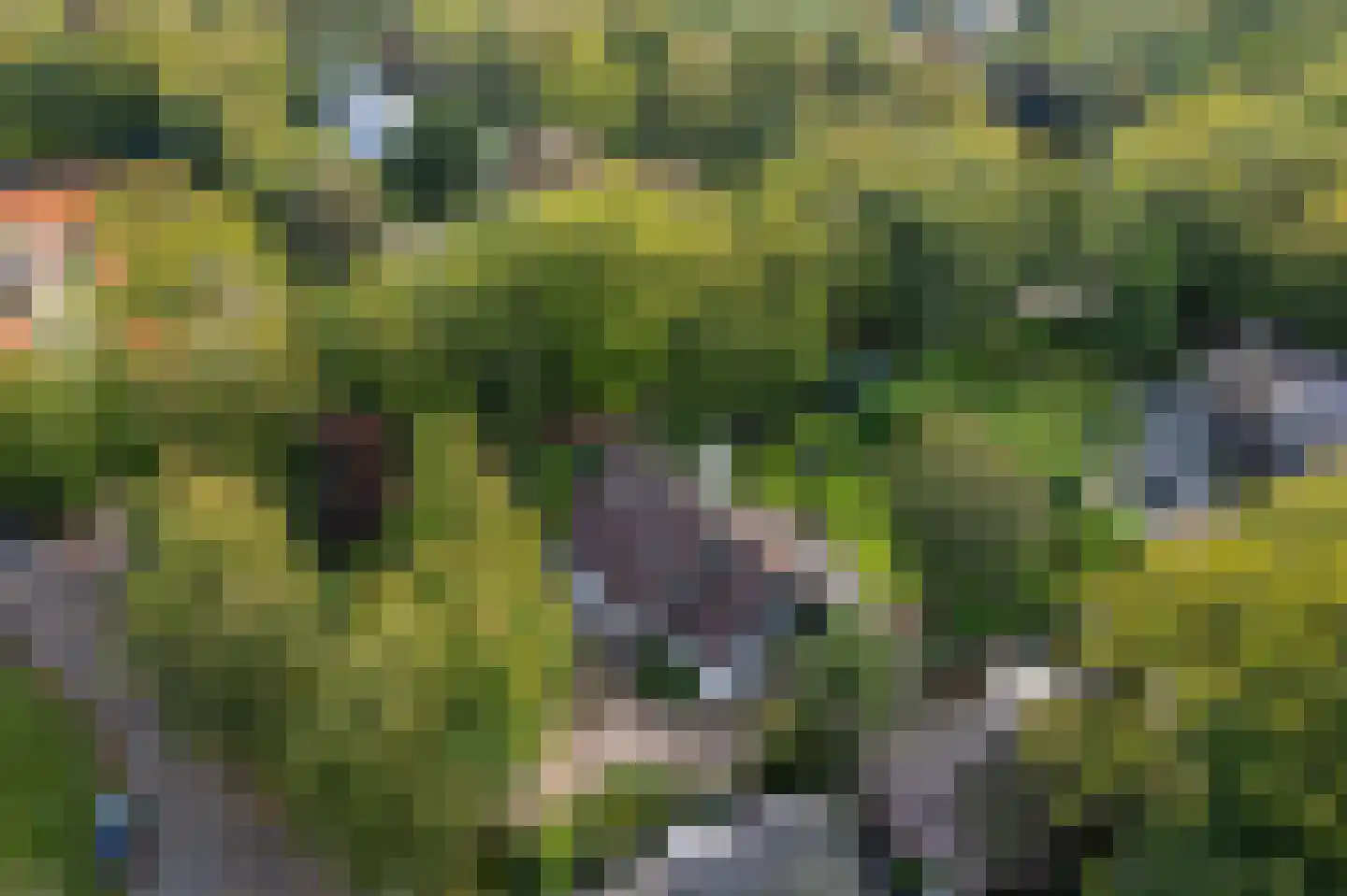 Groen van Prinstererlaan 4 Wassenaar thumbnail 7