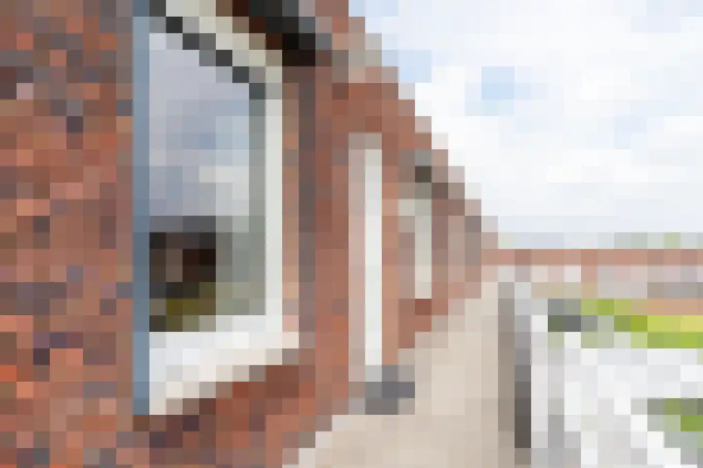 Groen van Prinstererlaan 41 J Barneveld thumbnail 14