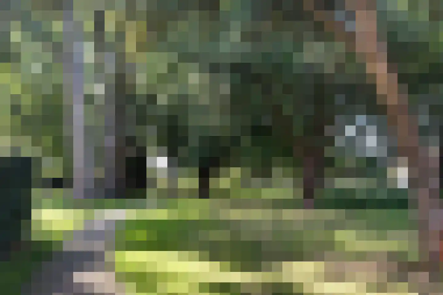 Groen van Prinstererlaan 41 J Barneveld thumbnail 49