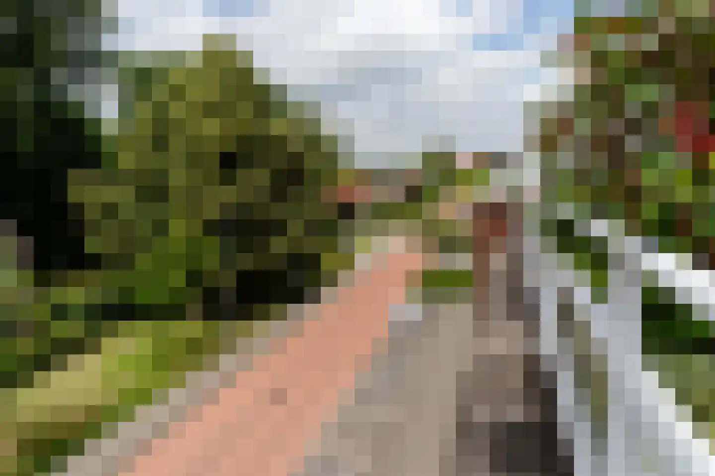 Groen van Prinstererlaan 41 J Barneveld thumbnail 5