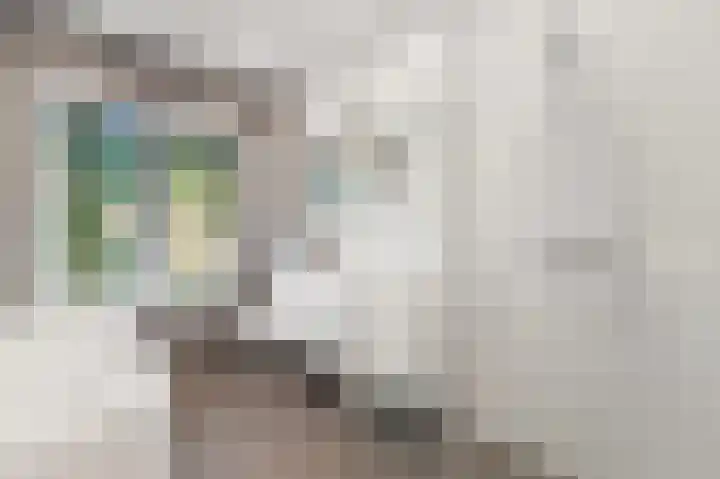 Groen van Prinstererlaan 41 Voorburg thumbnail 27