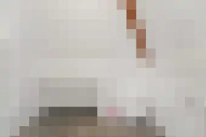 Groen van Prinstererlaan 41 Voorburg thumbnail 39