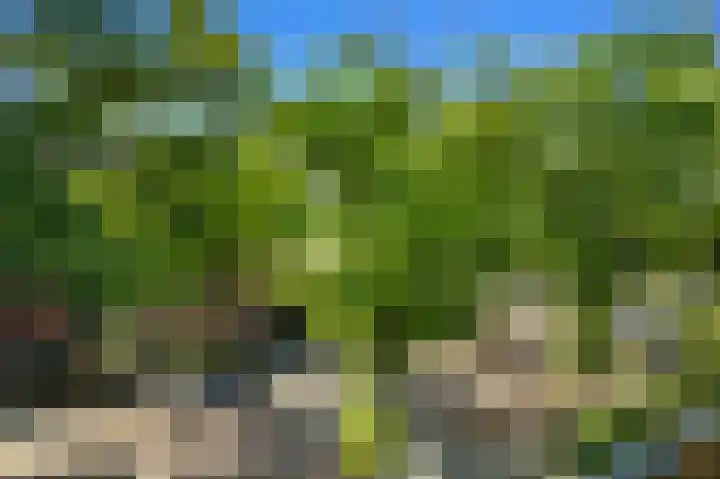 Groen van Prinstererlaan 41 Voorburg thumbnail 44