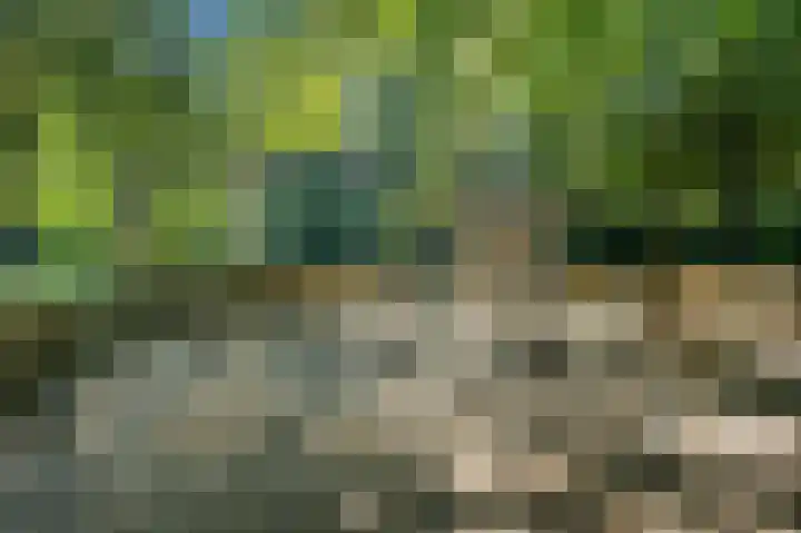 Groen van Prinstererlaan 41 Voorburg thumbnail 47