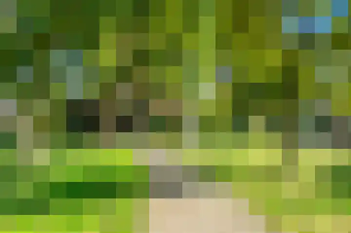 Groen van Prinstererlaan 41 Voorburg thumbnail 48