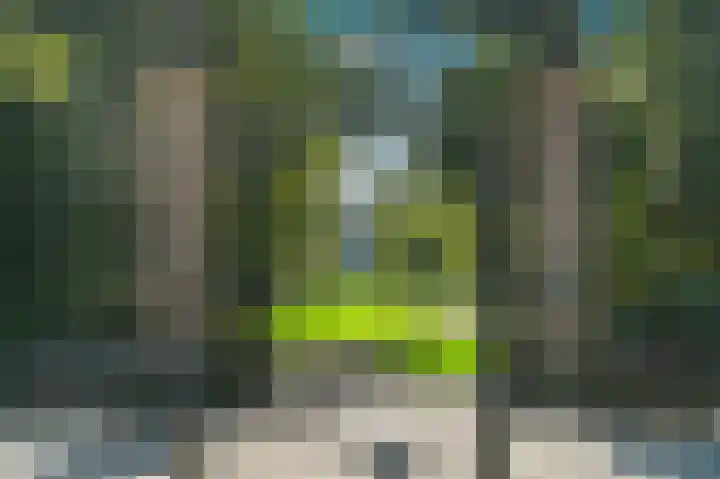 Groen van Prinstererlaan 41 Voorburg thumbnail 50